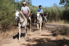 Portugal-Alentejo / Blue Coast-Bottlenose Escape